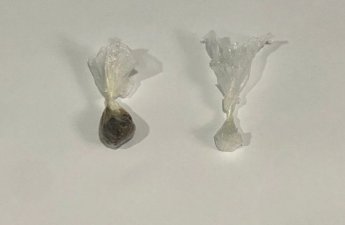 Məhkuma gödəkçənin cibində narkotik keçirmək istədi