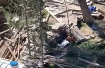 Sumqayıtda ağacları kəsdilər - Polis araşdırmaya başladı