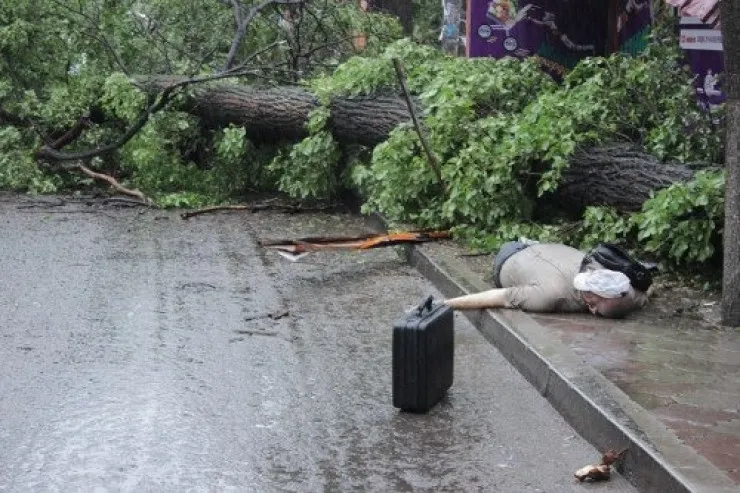 Bakıda güclü külək ağacı insanların üstünə aşırdı