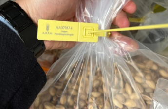 Türkiyədən Azərbaycana idxal olunan Antep fıstığında uyğunsuzluq aşkarlanıb