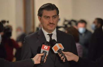 Кавелашвили поддержал запрет некоторых оппозиционных партий