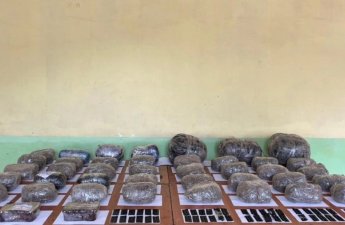 ГПС: В октябре на госгранице обнаружено и изъято более 489 кг наркотиков