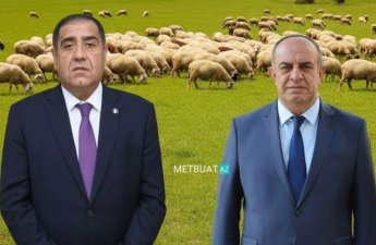 Həbs edilən icra başçıları şərik çıxdı