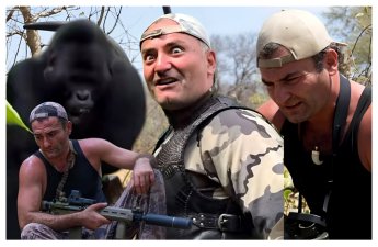 “Bütün dünya bu hadisədən danışır” - Məşhur azərbaycanlı ovçu qorillanı necə ram etdi? - ÖZƏL+AÇIQLAMA
