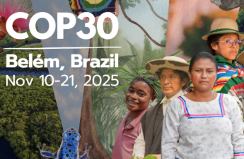 “Belendə keçiriləcək COP30 bəşəriyyət üçün son  xəbərdarlıq olacaq”