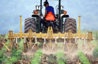 Сельское хозяйство Британии тонет в убытках