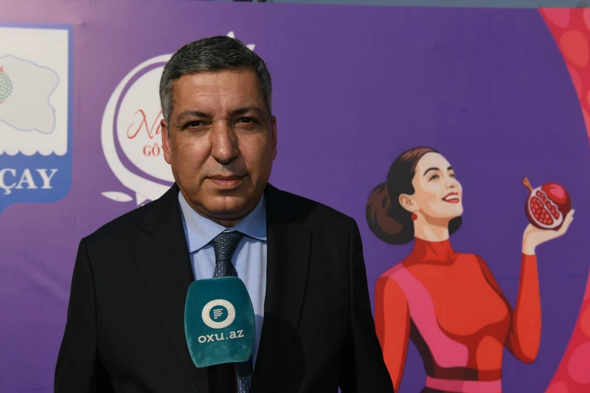 Кянан Гулузаде: В Фестивале граната принимают участие более 30 000 гостей