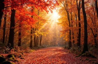 Sabah 24 dərəcə isti olacaq - PROQNOZ