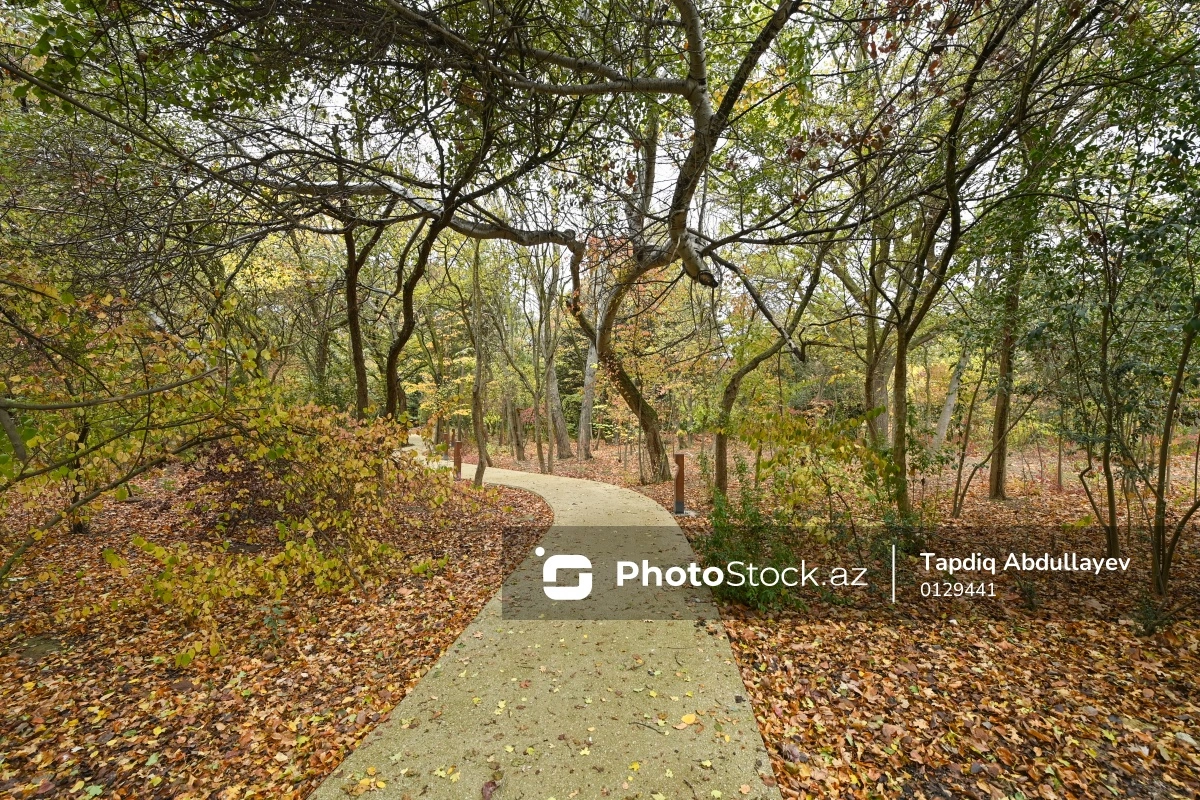Центральный ботанический сад в осенних красках