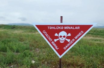 Qazaxın azad edilmiş kəndlərinin indiyədək nə qədər hissəsi minalardan təmizlənib?