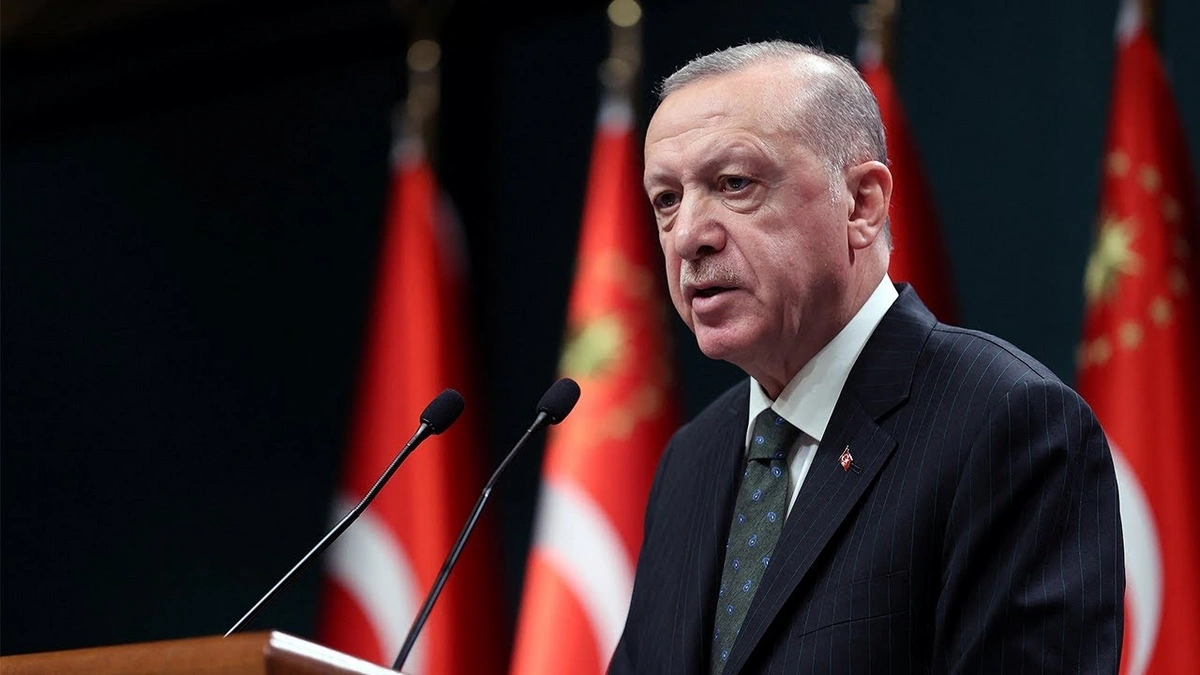 Ərdoğan təyyarə qəzası ilə bağlı Türkiyə vətəndaşlarını dezinformasiyaya qarşı ayıq olmağa çağırıb