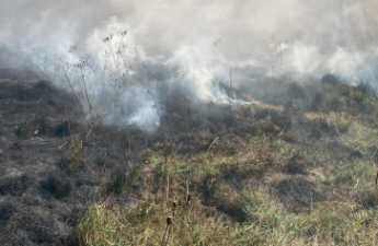 Ermənistan-Azərbaycan sərhədində baş verən yanğın davam edir - FOTO