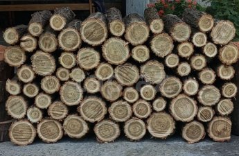 Qaz olmayan kəndlərin sakinlərinə odun veriləcək