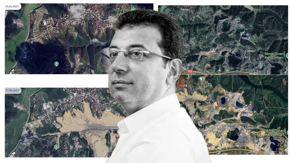 İmamoğlu meşəlik ərazini 