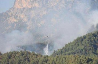 Azərbaycan-Ermənistan sərhədində baş verən yanğın söndürülüb