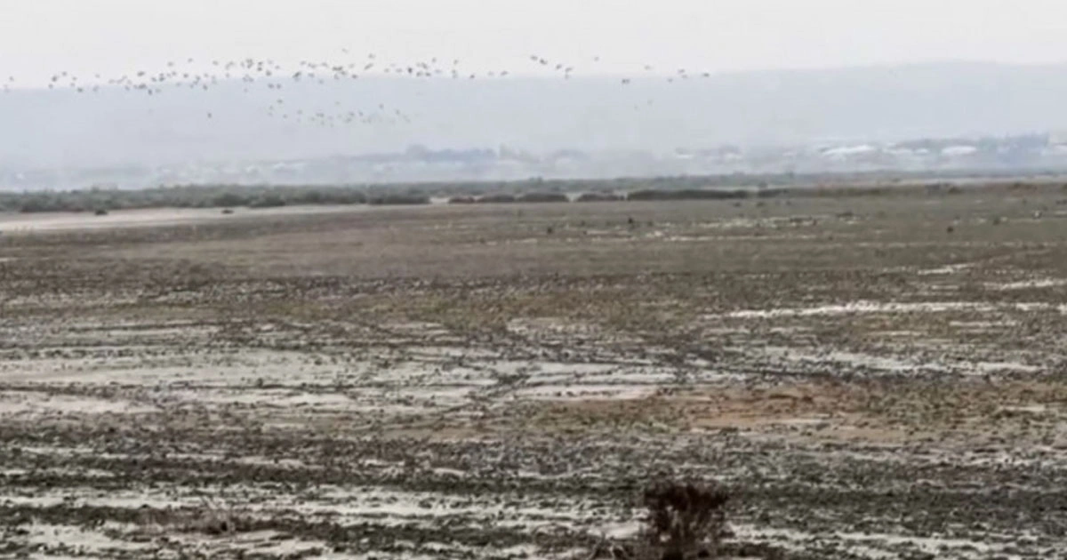 Azərbaycanın ən böyük göllərindən biri QURUYUR: Ekoloqlar həyəcan təbili çalırlar