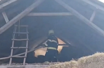 Qəbələdə yanğın olub - VİDEO