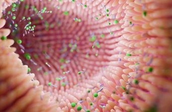 Bağırsaqlarınızdakı faydalı bakteriyaları necə qoruya bilərsiniz?