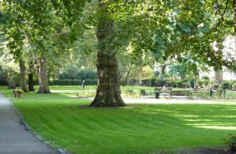 Bakının mərkəzində parkda ÖLÜM