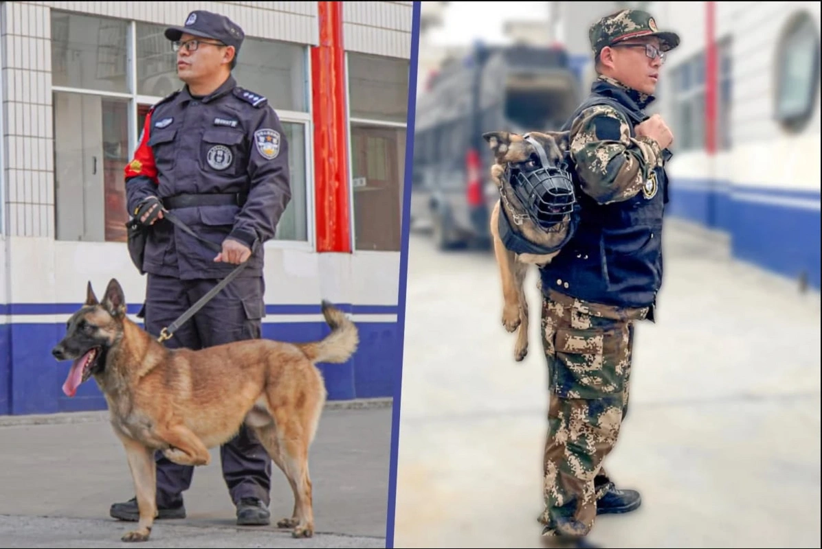 Çində üç ayaqla doğulmuş it polis bölməsində işə götürülüb
