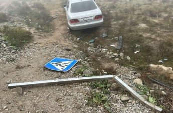 Avtomobil qoyun sürüsünə çırpıldı, onlarla heyvan tələf oldu - FOTO