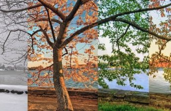 2026-cı ildə fəsillərin Azərbaycana daxilolma vaxtları açıqlandı