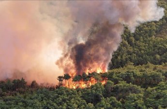 IRNA: Турция поможет Ирану в тушении лесного пожара в Мазендеране