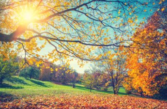 Завтра в Азербайджане ожидается 21 градус тепла