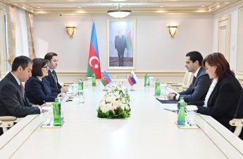 Sahibə Qafarova Slovakiyanın ölkəmizdəki səfiri ilə görüşüb