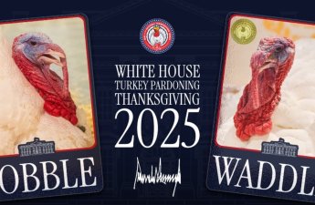 Трамп подарит жизнь двум индейкам