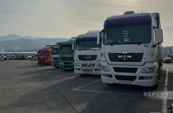 Gürcüstan 20 gündür Azərbaycan “TIR”larını gömrükdən buraxmır