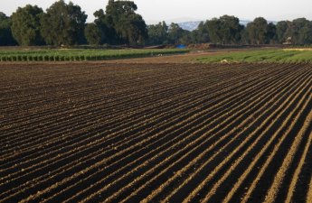 Cəlilabad sakini torpağı özüşumlayan qurğu ixtira etdi - FOTO