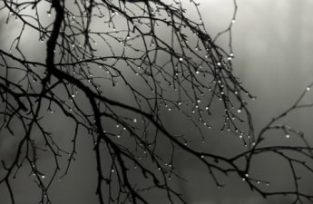 Завтра в Азербайджане ожидается изморось