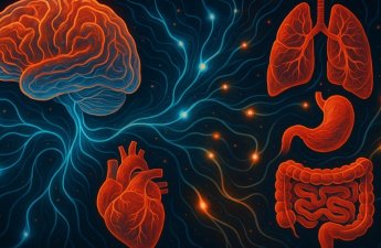 Beynin “altıncı hissi”: yeni elmi baxış