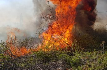 Baksol yolunda məişət tullantıları yığılmış ərazi yanır