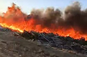 Пожар на дороге 