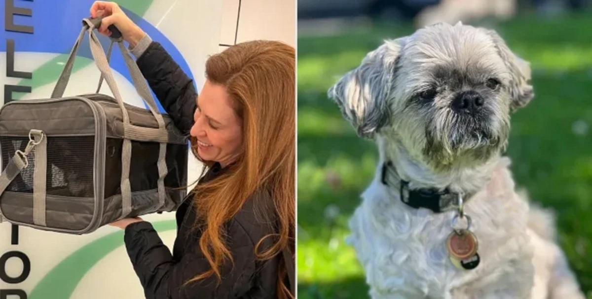 Женщина клонировала умершую собаку за 50 000 долларов и теперь жалеет о своем решении