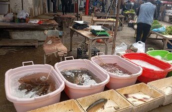 AQTA bu rayonların ərzaq bazarlarında monitorinq keçirdi - VİDEO