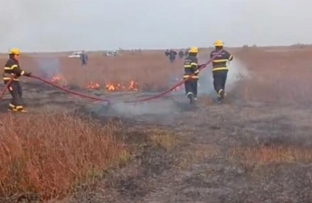 Cəlilabadda yanğın baş verib, 5 hektar ərazi yanıb - VİDEO