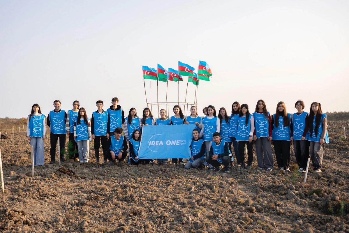 IDEA Xaçmaz və Şabranda növbəti ağacəkmə aksiyaları təşkil edib - FOTOLAR