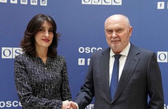 Глава МИД Грузии и генсек ОБСЕ обсудили региональную безопасность