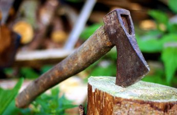 В Баку продолжается незаконная вырубка деревьев