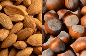 Azərbaycan Çinə fındıq və badam ixracını artıracaq