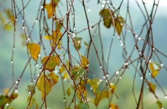 Обнародована фактическая погода