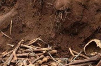 Ağdamda qazıntı zamanı insan sümükləri tapıldı