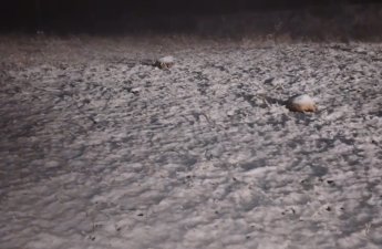 Снегопад в Лачинском районе