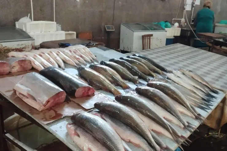 Balıq bazarında QİYMƏTLƏR - VİDEO