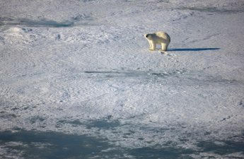 НАТО усиливает разведку вблизи границ России в Арктике