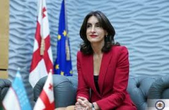 Глава МИД Грузии: Азербайджан является важным партнером для нас