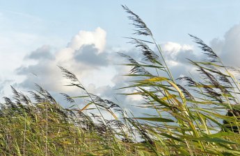 Шквалистый ветер погрузил регионы Армении во тьму